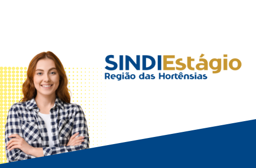 Sindilojas Hortênsias lança novo serviço o SindiEstágio Fecomércio RS